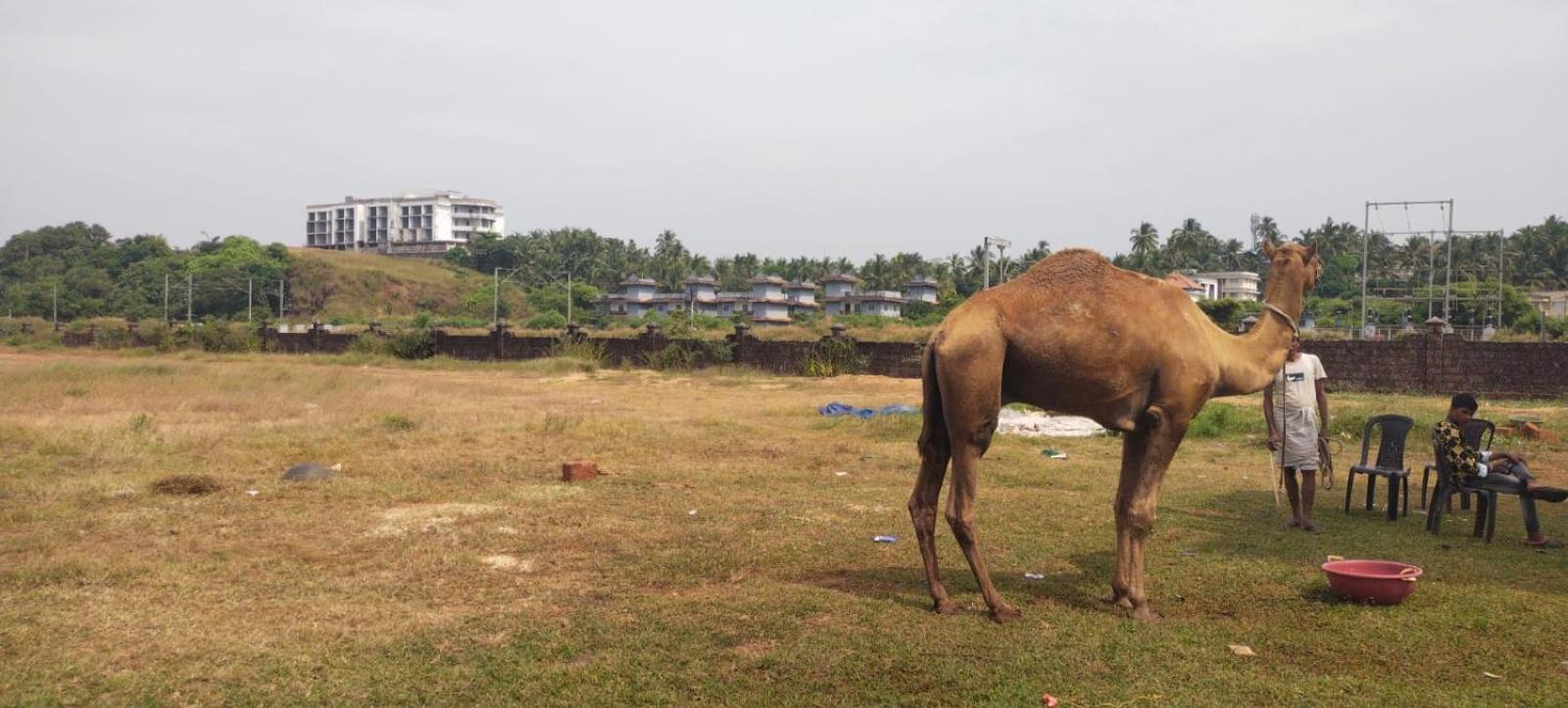 Bekal Fort Beach Resorts Bekal Town Eksteriør bilde