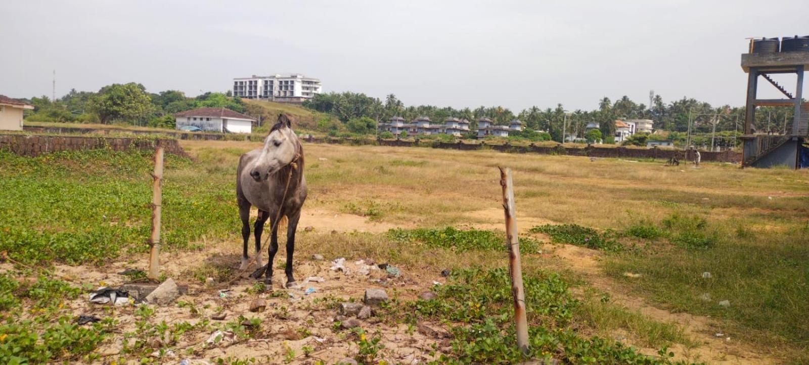 Bekal Fort Beach Resorts Bekal Town Eksteriør bilde